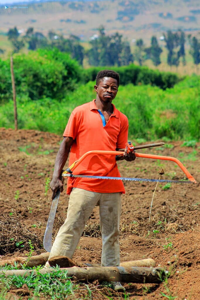 A Kura Kura farmer at work