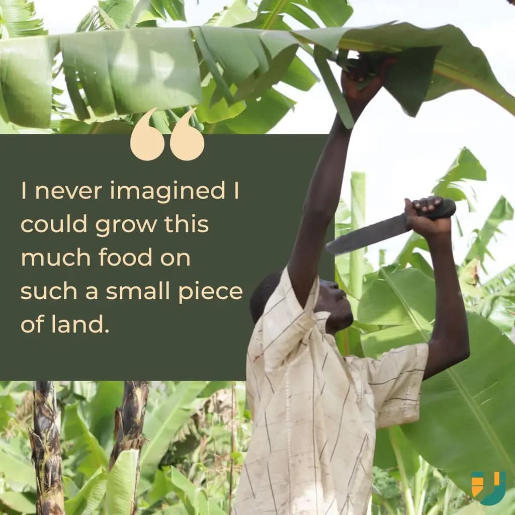 Farmer harvesting produce from a permagarden